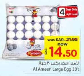 Al Ameen Large Egg 30's