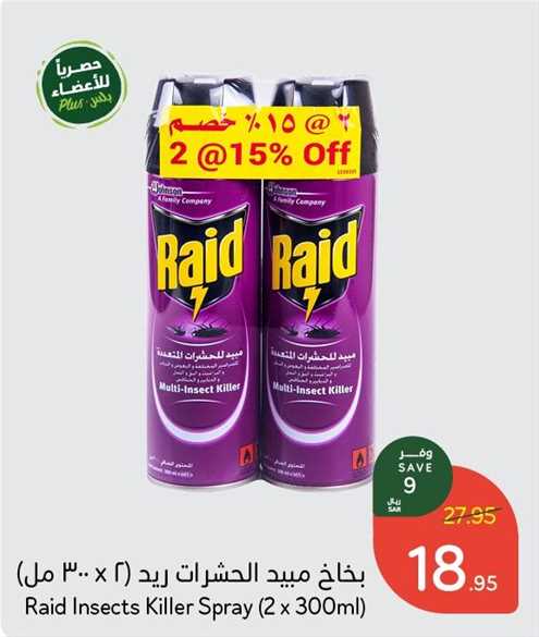 Raid Insects Killer Spray (2 x 300ml)