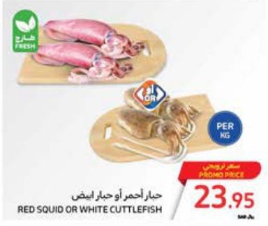 RED SQUID OR WHITE CUTTLEFISH