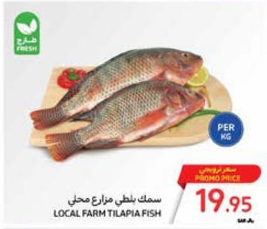 LOCAL FARM TILAPIA FISH PER KG 