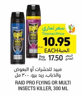 RAID PRO FLYING OR MULTI INSECTS KILLER, 300 ML