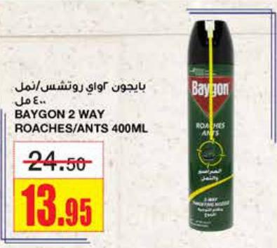 BAYGON 2 WAY ROACHES/ANTS 400ML
