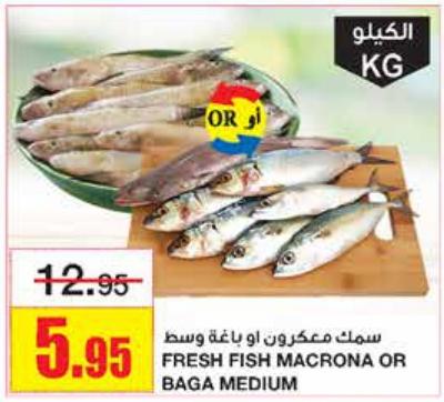 FRESH FISH MACRONA OR BAGA MEDIUM KG 
