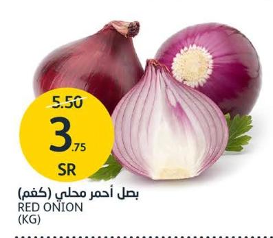 RED ONION (KG)