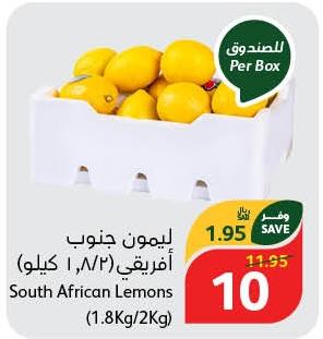 South African Lemons (1.8Kg/2Kg)