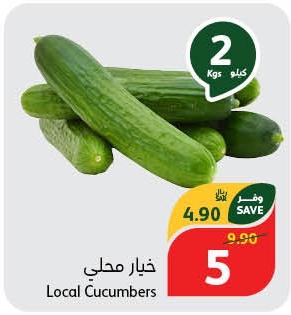 Local Cucumbers