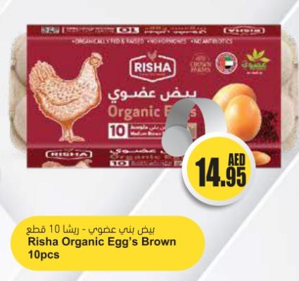 Risha Organic Egg's Brown 10pcs