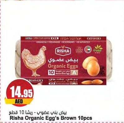 Risha Organic Egg's Brown 10pcs
