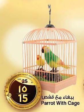 Parrot With Cage
