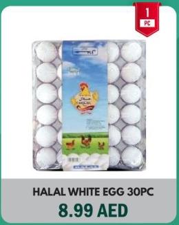 HALAL WHITE EGG 30PC