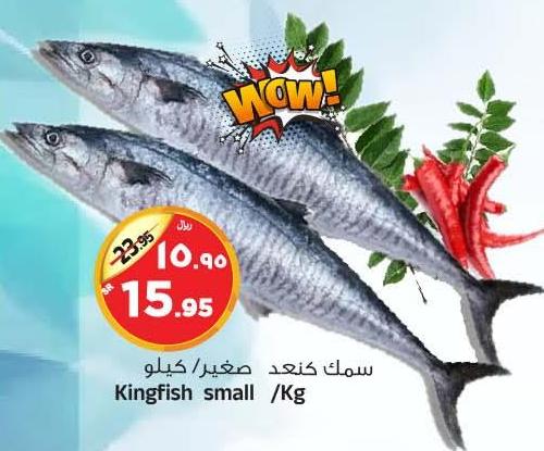 Kingfish small /Kg