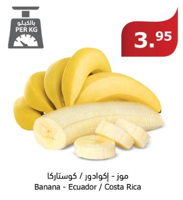 Banana - Ecuador / Costa Rica