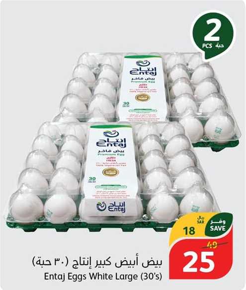 Entaj Eggs White Large (30's)