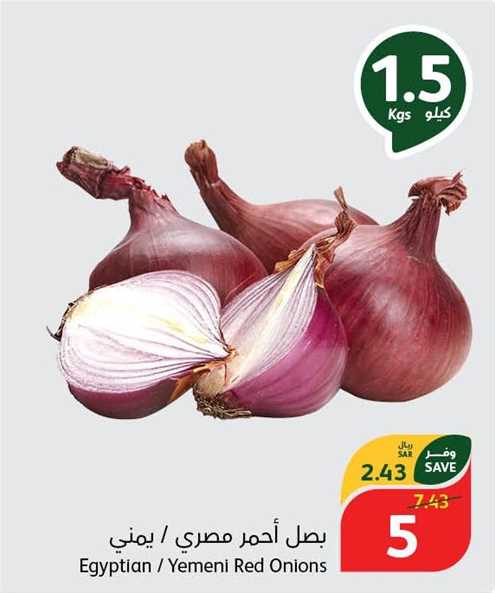 Egyptian / Yemeni Red Onions