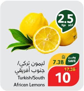 Turkish/South African Lemons