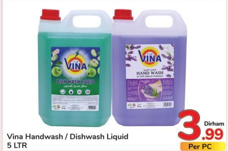 Vina Handwash / Dishwash Liquid 5 LTR
