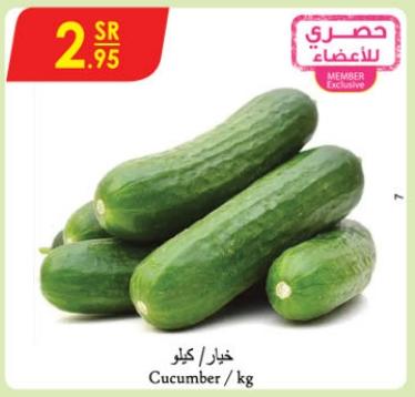 Cucumber/kg