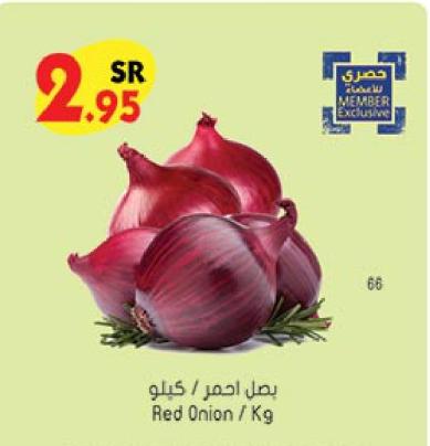 Red Onion / Kg
