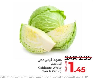 Cabbage White Saudi Per Kg