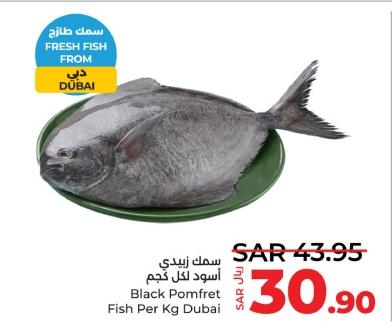 Black Pomfret Fish Per Kg Dubai