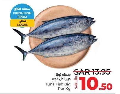 Tuna Fish Big Per Kg