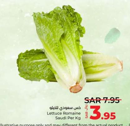 Lettuce Romaine Saudi Per Kg