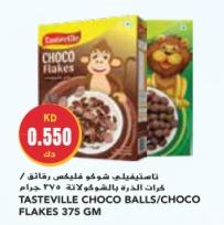 TASTEVILLE CHOCO BALLS/CHOCO FLAKES 375 GM