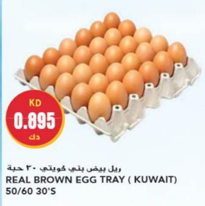 REAL BROWN EGG TRAY ( KUWAIT) 50/60 30'S
