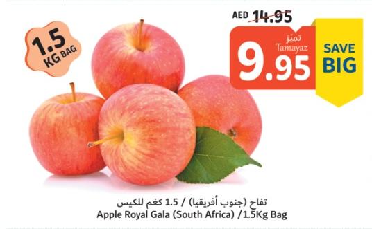 Apple Royal Gala (South Africa) /1.5Kg Bag