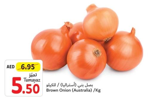 Brown Onion (Australia) /Kg