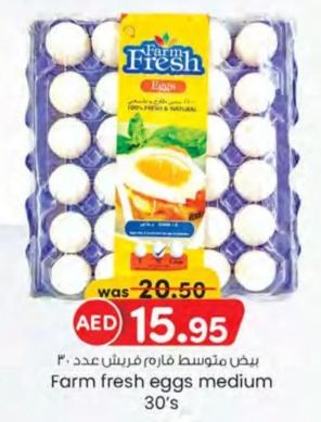 Farm fresh eggs medium 30's