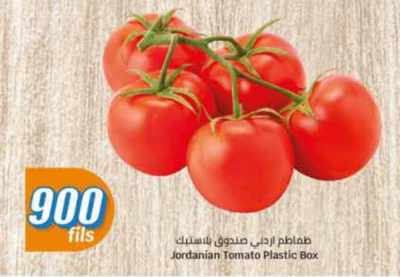 Jordanian Tomato Plastic Box