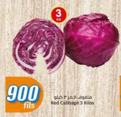 Red Cabbage 3 Kilos