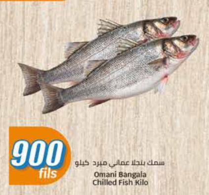 Omani Bangala Chilled Fish Kilo