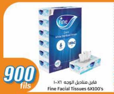 Fine Facial Tissues 6X100's