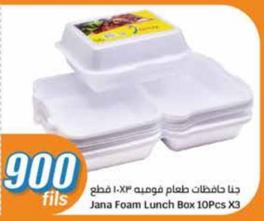 Jana Foam Lunch Box 10Pcs X3