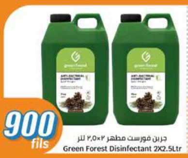 Green Forest Disinfectant 2X2.5Ltr
