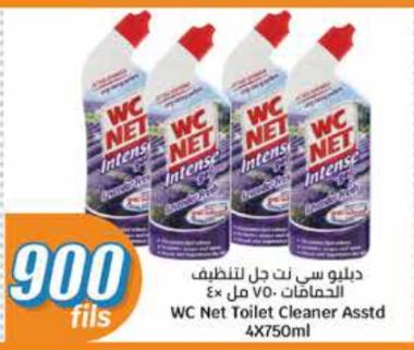 WC Net Toilet Cleaner Asstd 4X750ml