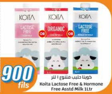 Koita Lactose Free & Hormone Free Asstd Milk 1Ltr