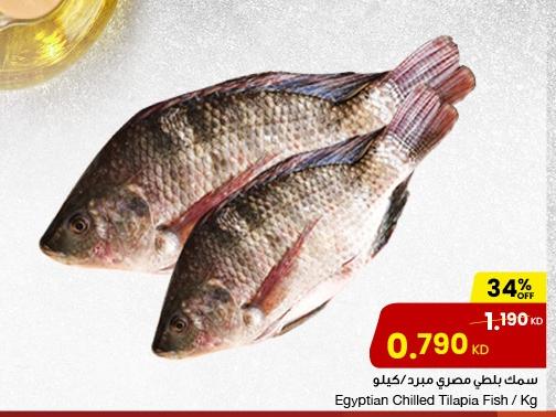 Egyptian Chilled Tilapia Fish/Kg