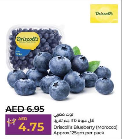 Driscoll's Blueberry (Morocco) Approx.125gm per pack