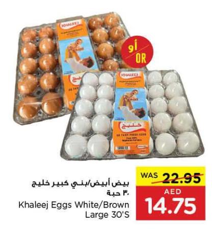 Khaleej Eggs White/Brown Large 30'S