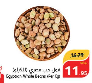 Egyptian Whole Beans (Per Kg)