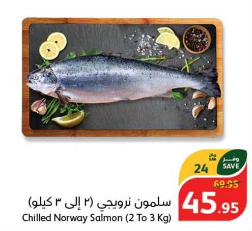 Chilled Norway Salmon (2 To 3 Kg)