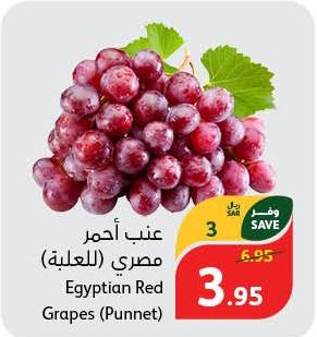 Egyptian Red Grapes (Punnet)