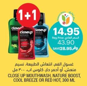 CLOSE UP MOUTHWASH, NATURE BOOST, COOL BREEZE OR RED HOT, 300 ML