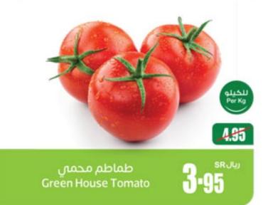Green House Tomato Per Kg