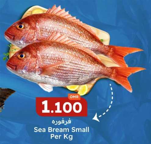 Sea Bream Small Per Kg