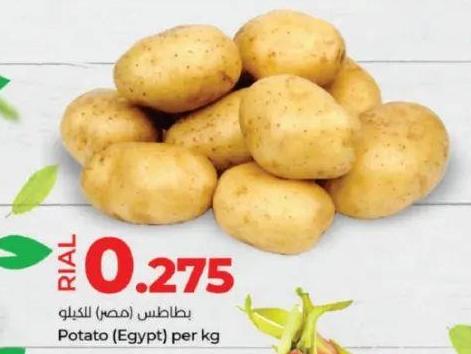 Potato (Egypt) per kg