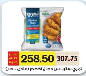 Temry Chicken strips Regular/ Spicy 1 kg